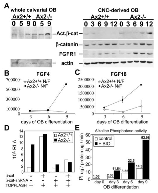 Fig. 9