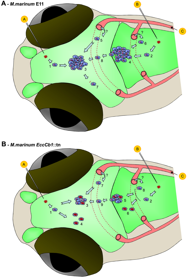 Fig. 7.