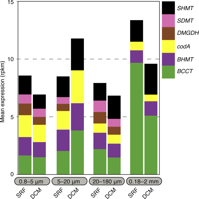 Figure 4