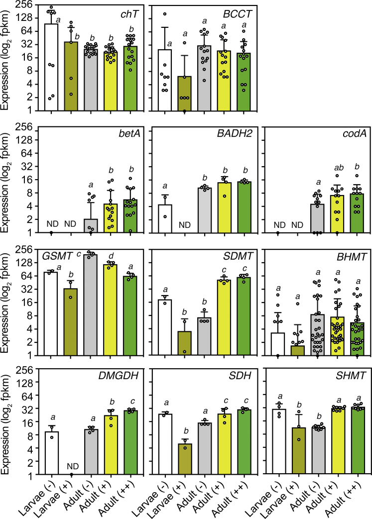 Figure 3