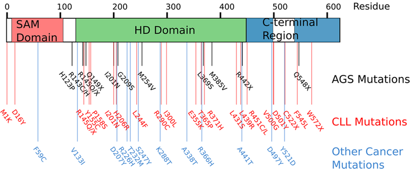 Figure 5.