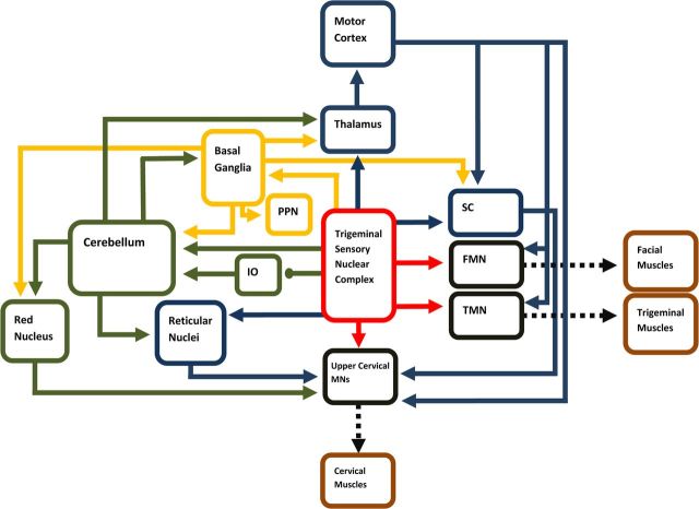 Figure 2.