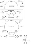 Scheme 2
