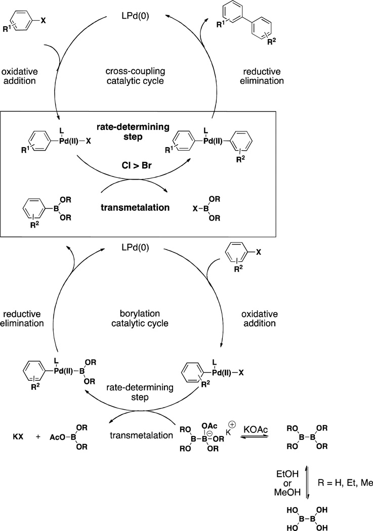 Scheme 2