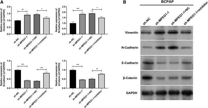 Figure 6