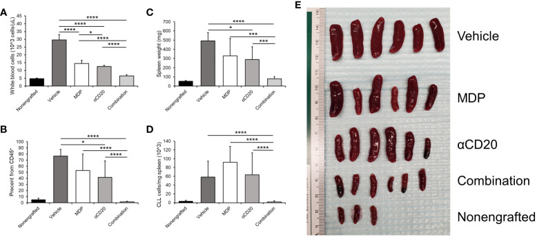 Figure 5