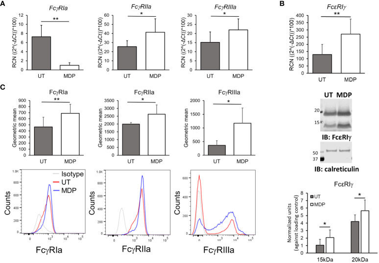 Figure 2