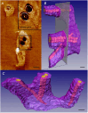 Fig. 13