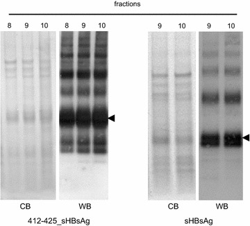 Fig. 3