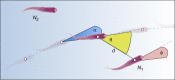 Fig. 1.