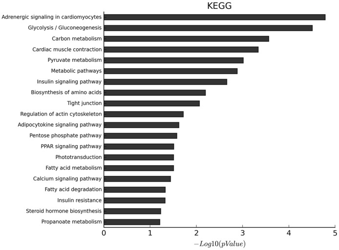 Fig 3