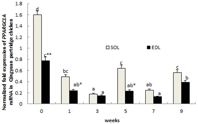 Fig 5