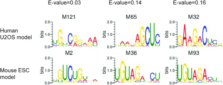 Figure 5.