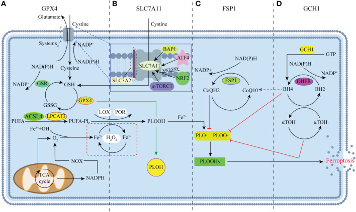 Figure 1