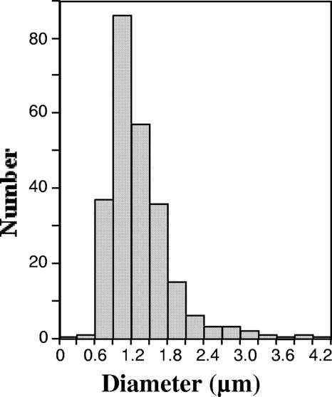 FIG. 2.