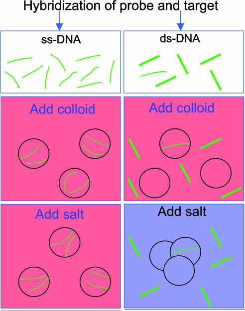 Scheme 1.