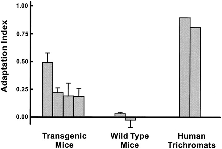 Fig. 8.