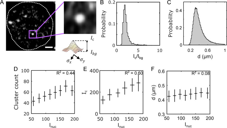 FIG. 2.