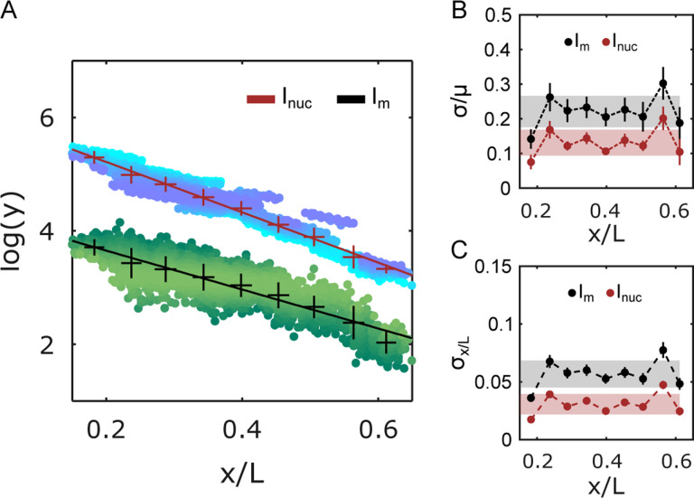 FIG. 3.