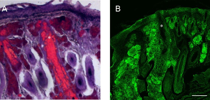 
Figure 16. 
