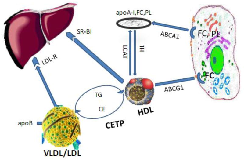 Fig. 2