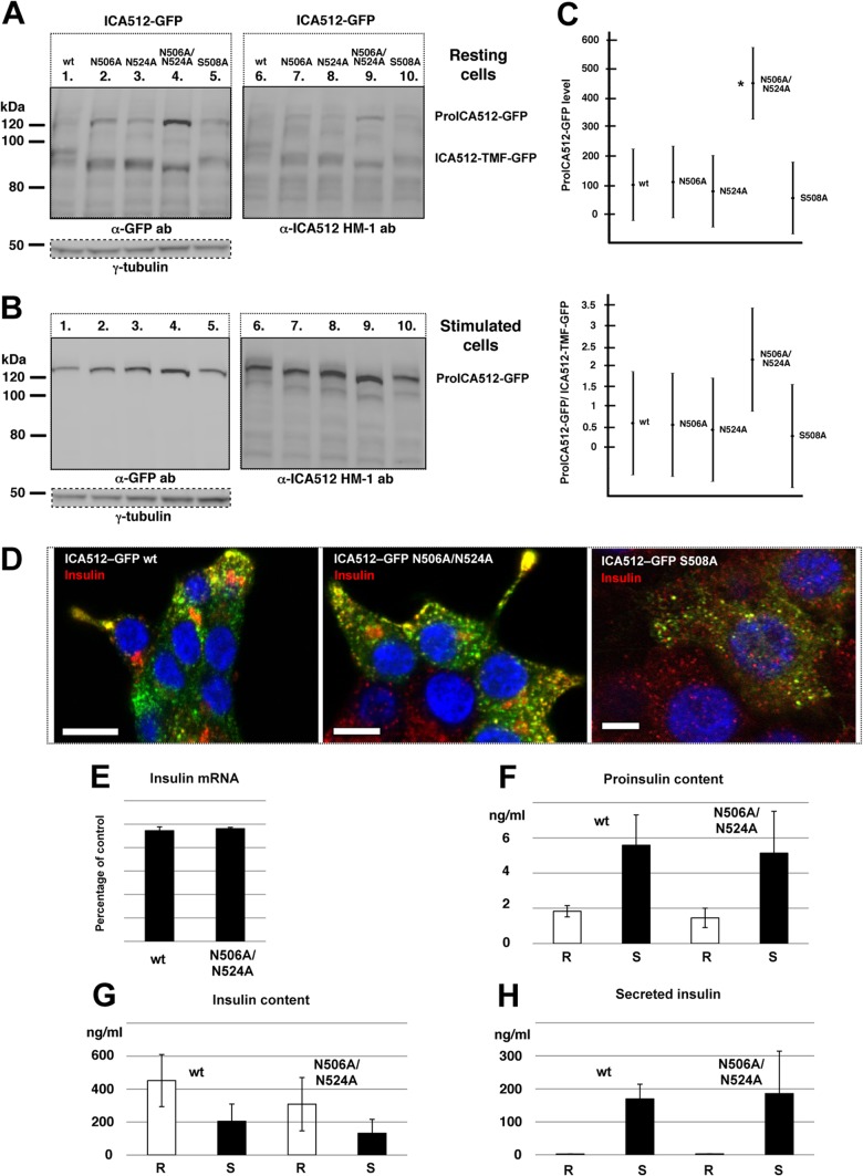 FIG 3