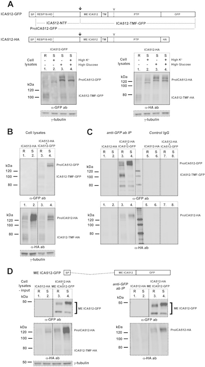 FIG 2