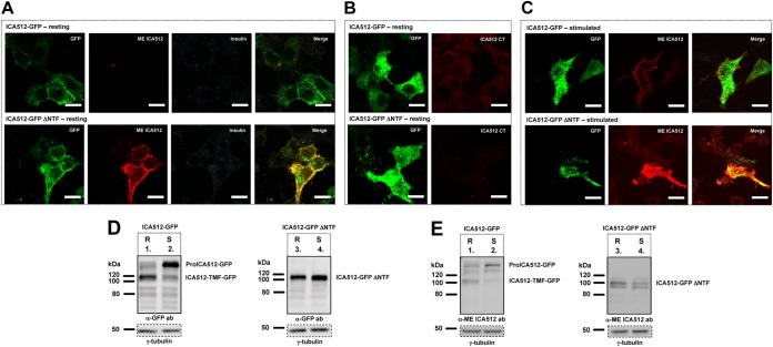 FIG 6