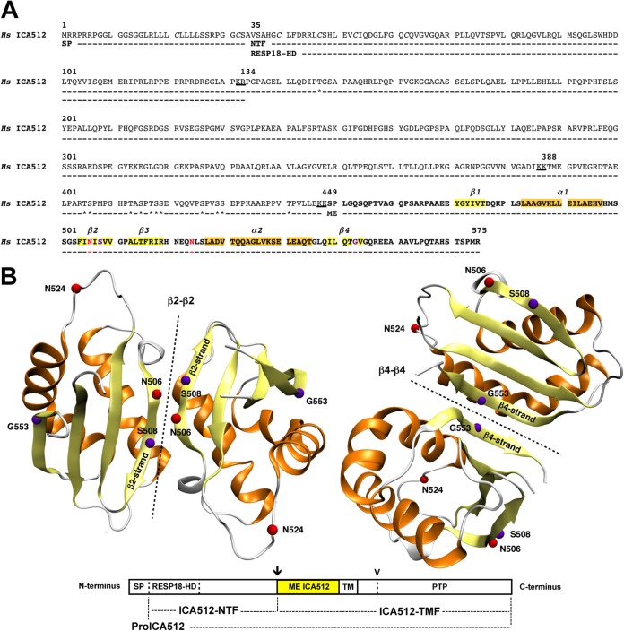 FIG 1