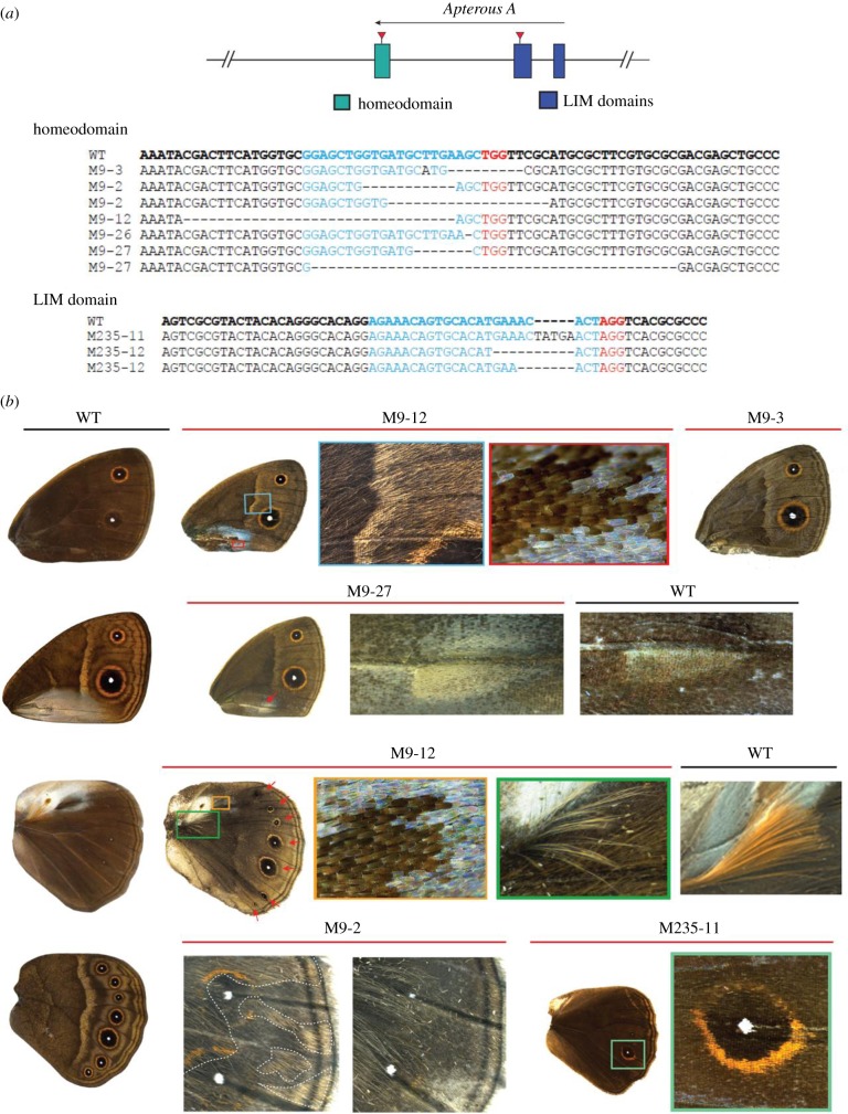 Figure 3.