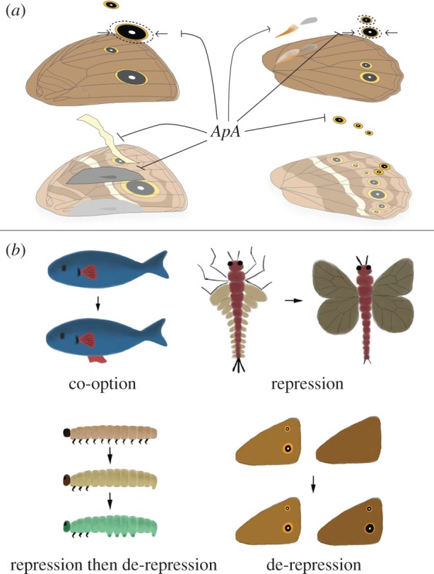 Figure 4.