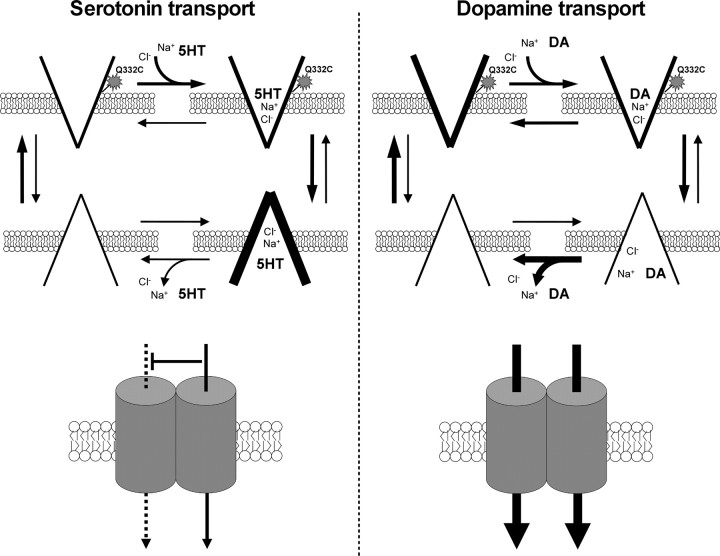 Figure 9.