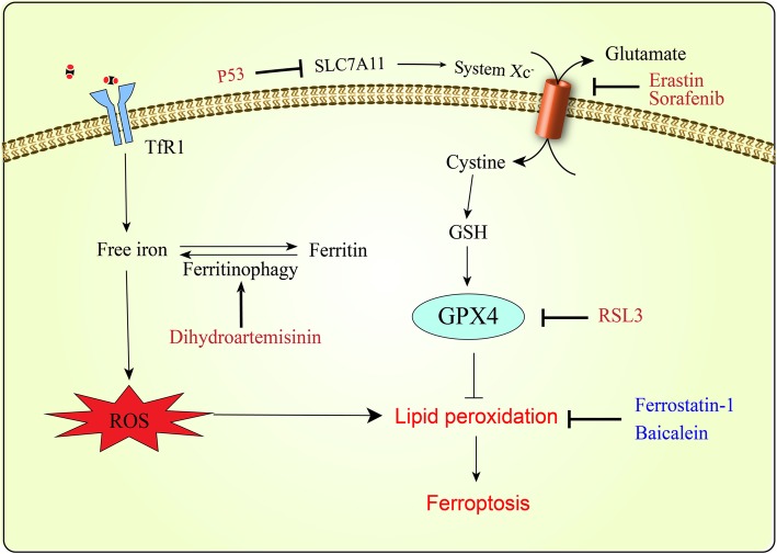 Fig. 3