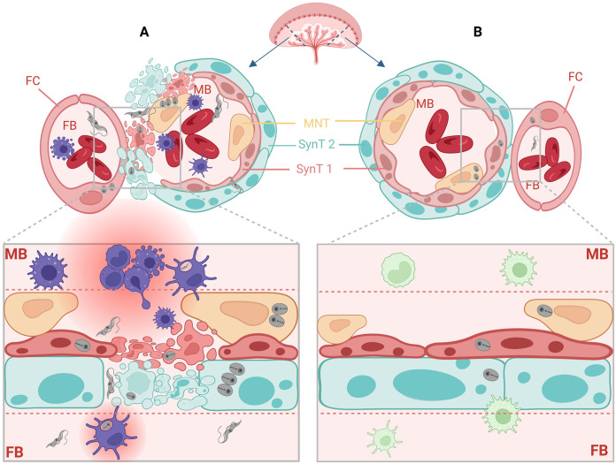 FIG 10