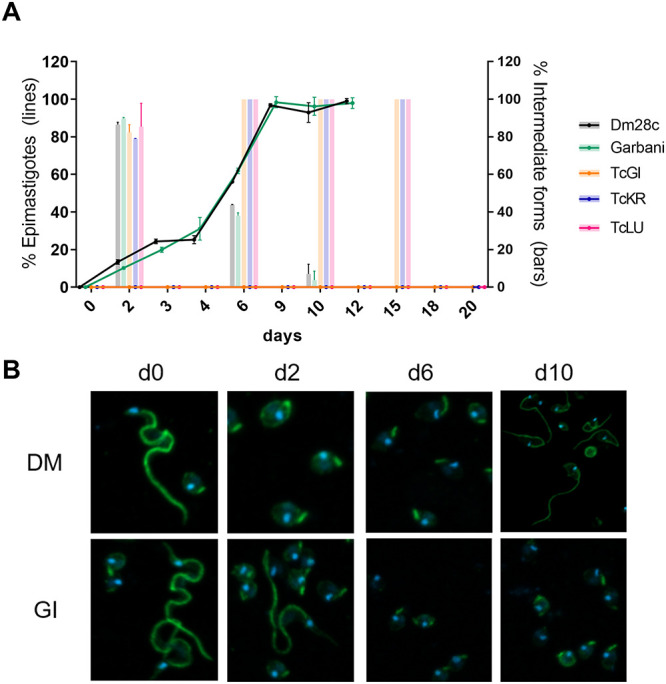 FIG 2