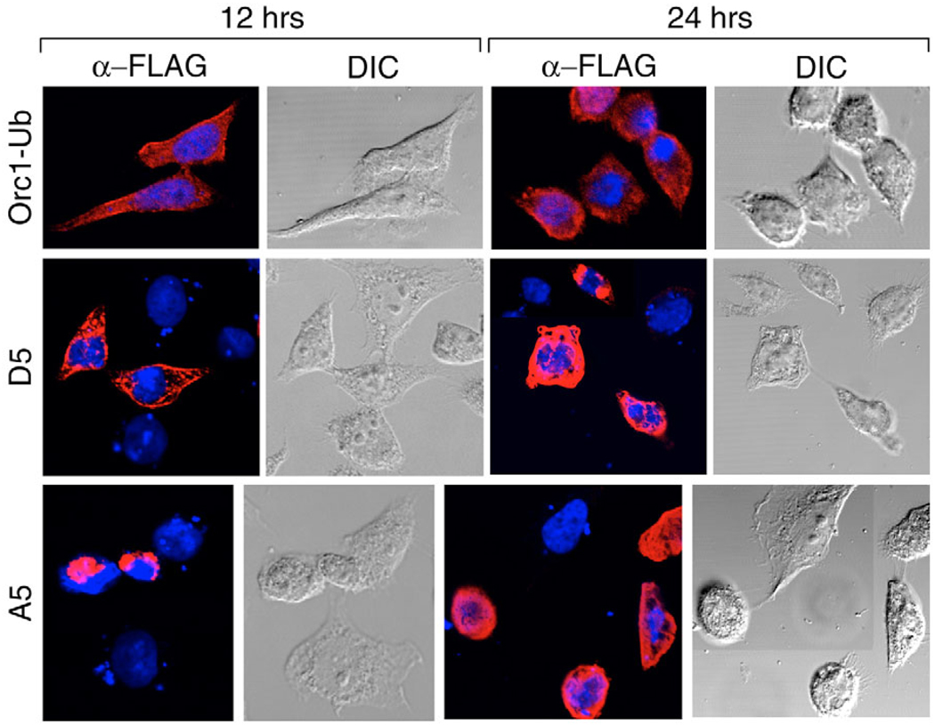 Fig. 9