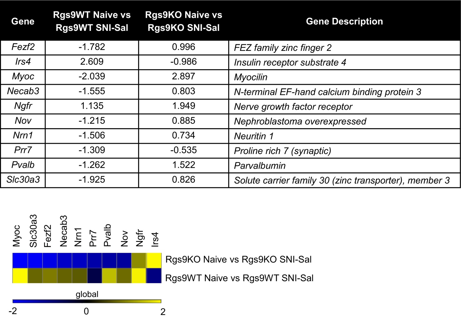 graphic file with name pnas.1504283112sfx01.jpg