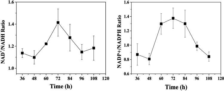 FIG 6