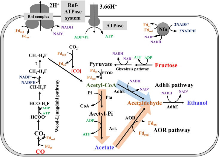 FIG 1