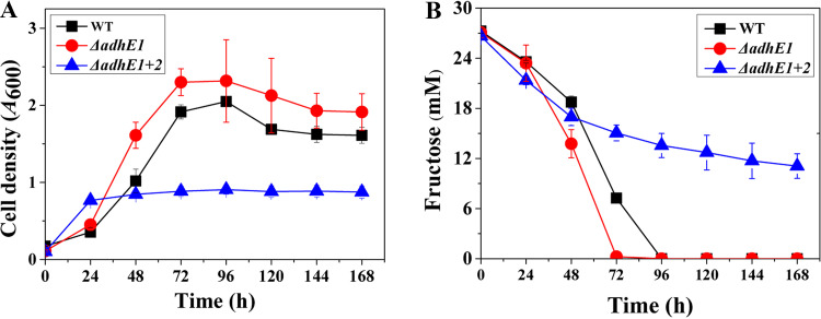 FIG 2