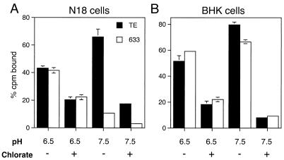 FIG. 6.