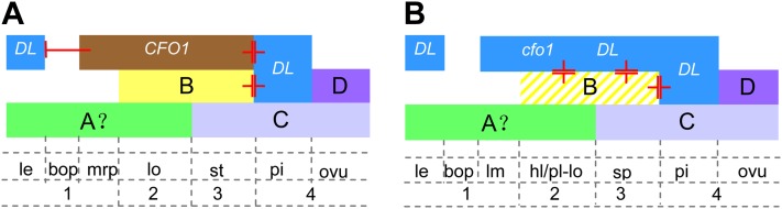 Figure 11.