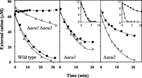 FIG. 5.