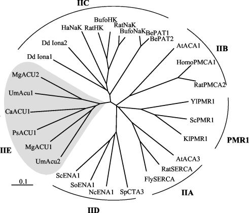 FIG. 6.