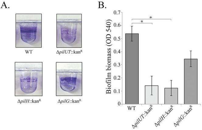 FIG 4 