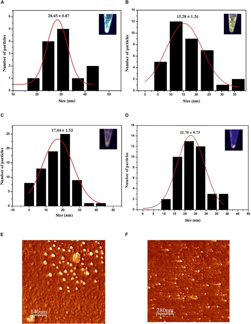 FIGURE 3