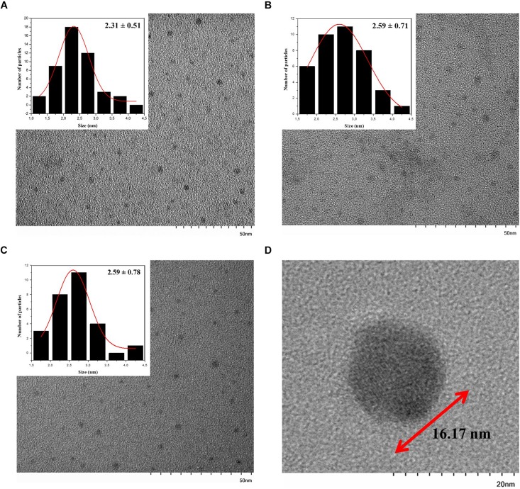 FIGURE 4