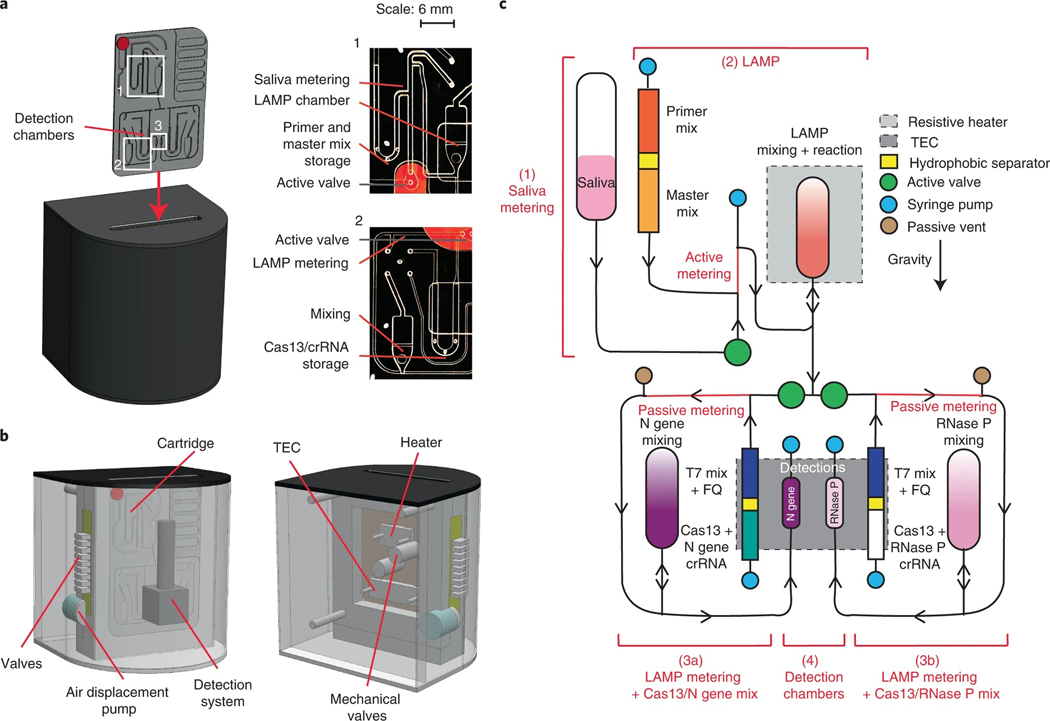 Fig. 6 |