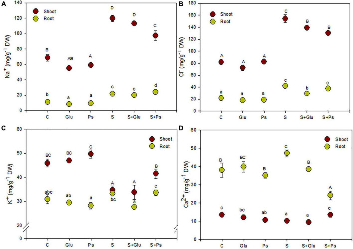 FIGURE 2