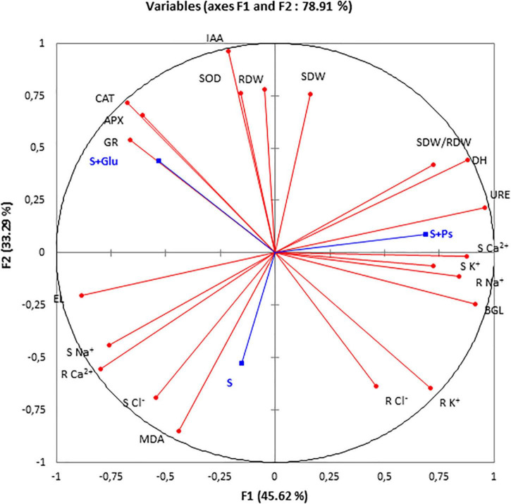 FIGURE 6